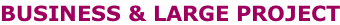 BUSINESS & LARGE PROJECT